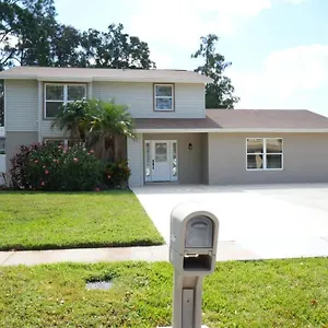Hosting New , Tampa United States